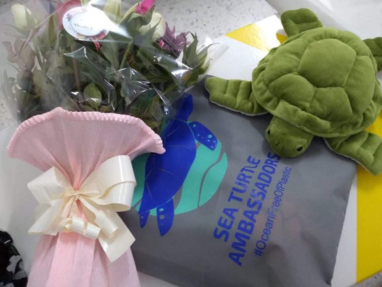 Sea Turtle Ambassadors