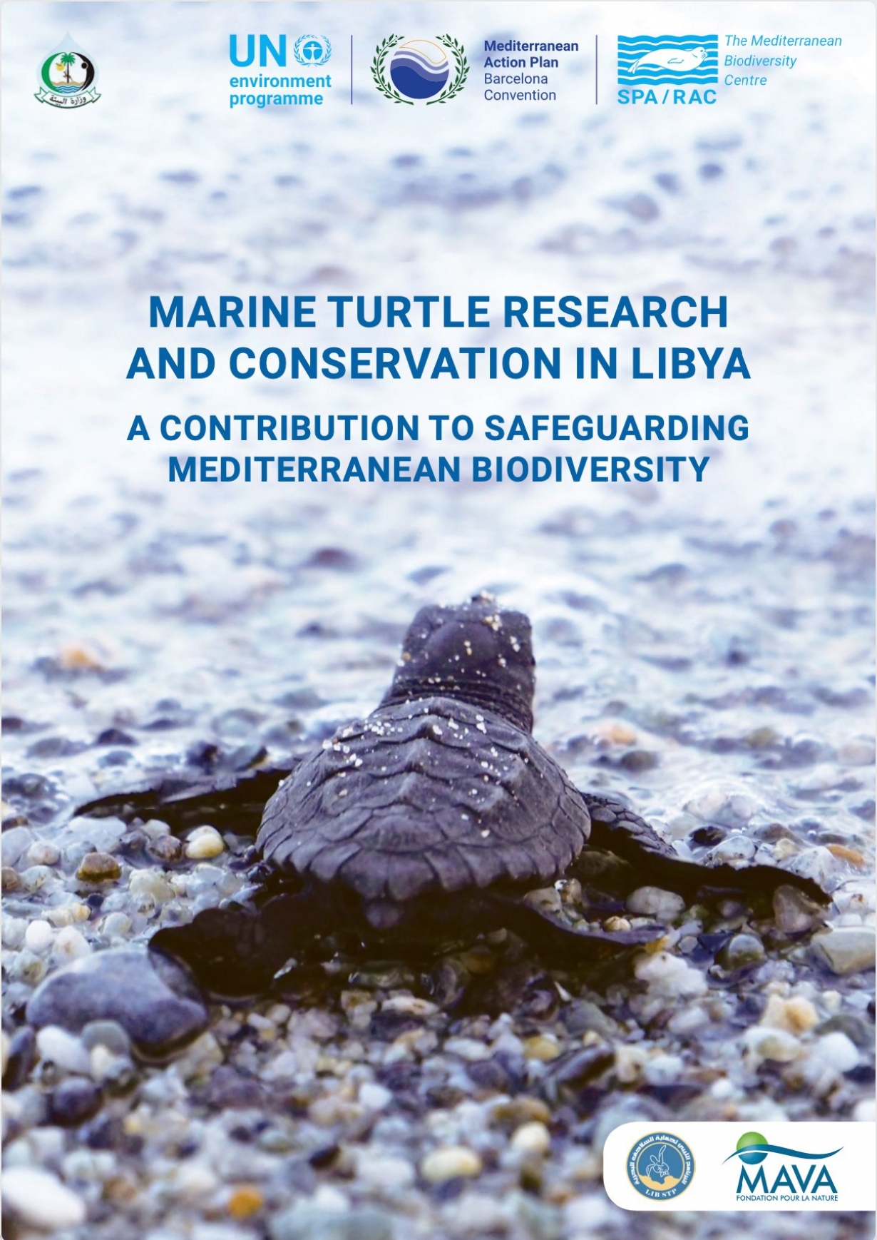 Marine Turtle Research and Conservation in Libya. A Contribution to Safeguarding Mediterranean Biodiversity.