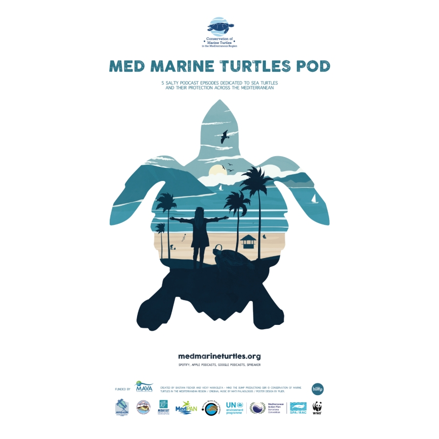 MED  MARINE TURTLES POD_ A SUCCESS STORY IN THE MA...