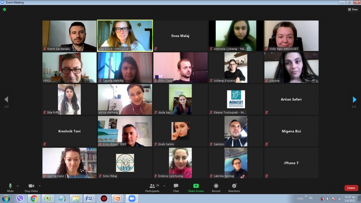 Sea turtle project launches in Albania