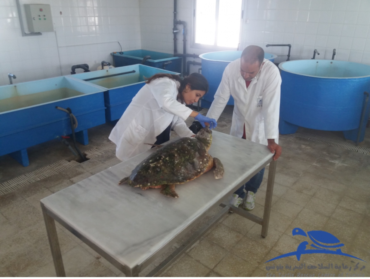 Kenza receiving treatment