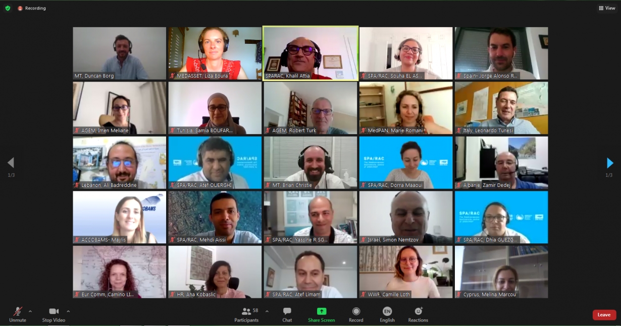 MEDASSET asks governments to step up conservation efforts at the Meeting of the SPA/BD Focal Points